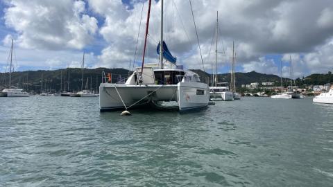 Robertson & Cain Leopard 40 : Marin anchorage in Martinique