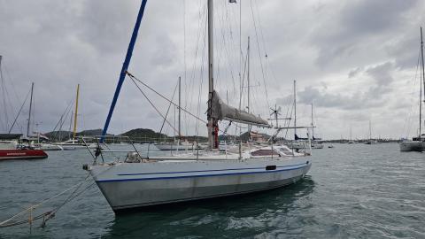 Alubat Ovni 39 : At anchor in Martinique