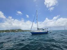Gibert Marine Gib'Sea 402 : At anchor in Martinique